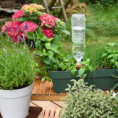 Hozelock Aquasolo Universal Bewässerungskegel, pink, 4 Kegel