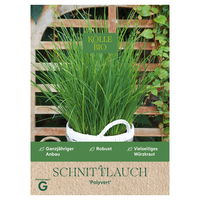 Kölle Bio Saatgut Schnittlauch 'Polyvert', grün