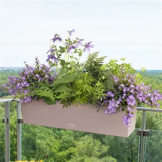 Pflanzkreation Gartenmagie im Balkonkasten lila