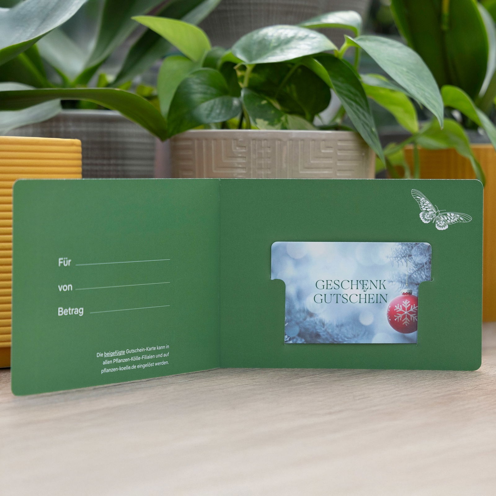 Geschenkgutschein Geschenkgutschein