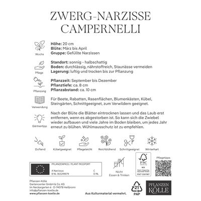 Zwergnarzissen Campernelli gelb, 10 Blumenzwiebeln Zwergnarzissen Campernelli gelb, 10 Blumenzwiebeln