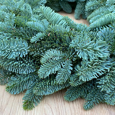 Adventskranz, Nobilistanne, halbrund gebunden, ca. 35 cm Ø Adventskranz, Nobilistanne, halbrund gebunden, ca. 35 cm Ø