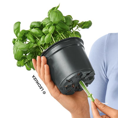 Lechuza 'Cube Color 14', schiefergrau, ca. 14 x 14 x H 13,5 cm