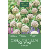Kölles Beste Zierlauch Allium Ping Pong, 10 Blumenzwiebeln Kölles Beste Zierlauch Allium Ping Pong, 10 Blumenzwiebeln