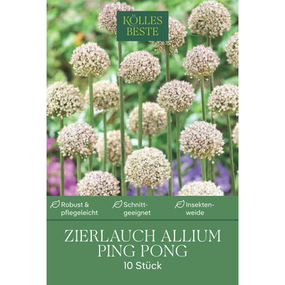 Kölles Beste Zierlauch Allium Ping Pong, 10 Blumenzwiebeln Kölles Beste Zierlauch Allium Ping Pong, 10 Blumenzwiebeln