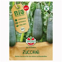 Gemüsesamen, Bio-Kletterzucchini 'Ola Escaladora', grün