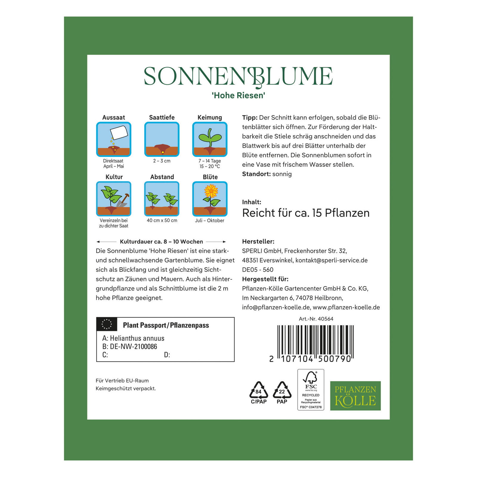 Kölles Beste Blumensamen Sonnenblume 