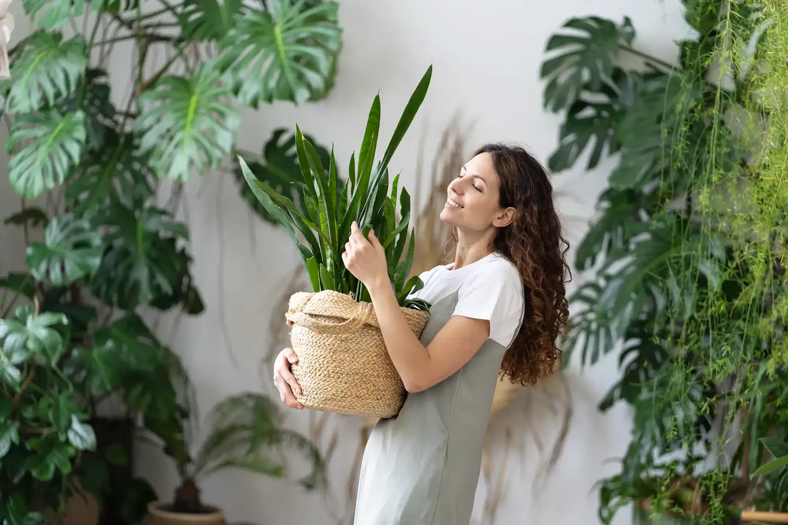 Frau mit Zimmerpflanze im Arm