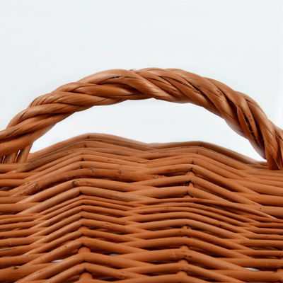 Silvio Design Katzen-Transportbox natur, mit Kissen braun