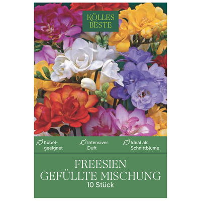 Kölles Beste Blumenzwiebeln, Freesien 'Gefüllte Mischung'