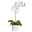 Kunstblume Orchidee im Topf, weiß, ca. 40 cm, 2 Stück