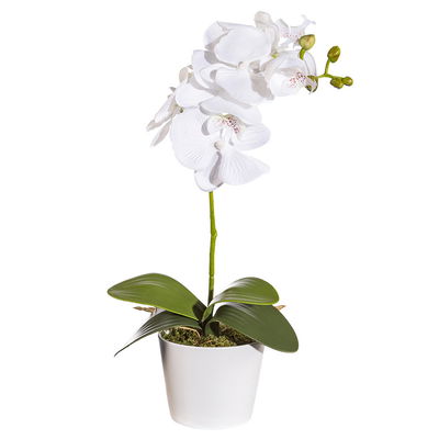 Kunstblume Orchidee im Topf, weiß, Höhe ca. 40 cm, 2 Stück Kunstblume Orchidee im Topf, weiß, Höhe ca. 40 cm, 2 Stück