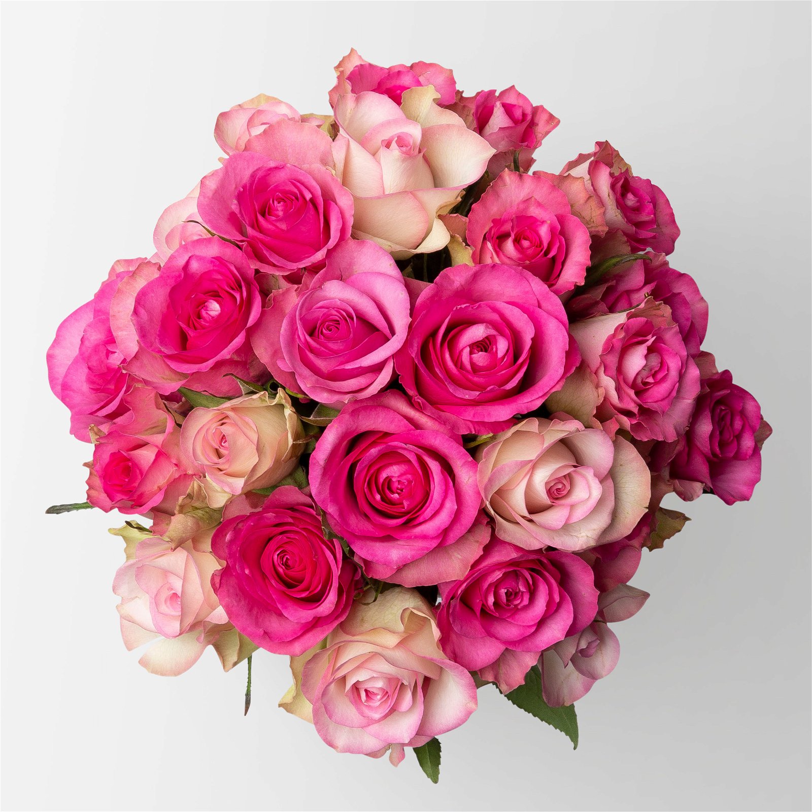 Blumenbund mit gemischten Rosen, Rosatöne, 25er-Bund, inkl. gratis Grußkarte