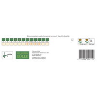 Kölles Beste Seerosen-Dahlien Mischung, 3 Blumenknollen Kölles Beste Seerosen-Dahlien Mischung, 3 Blumenknollen