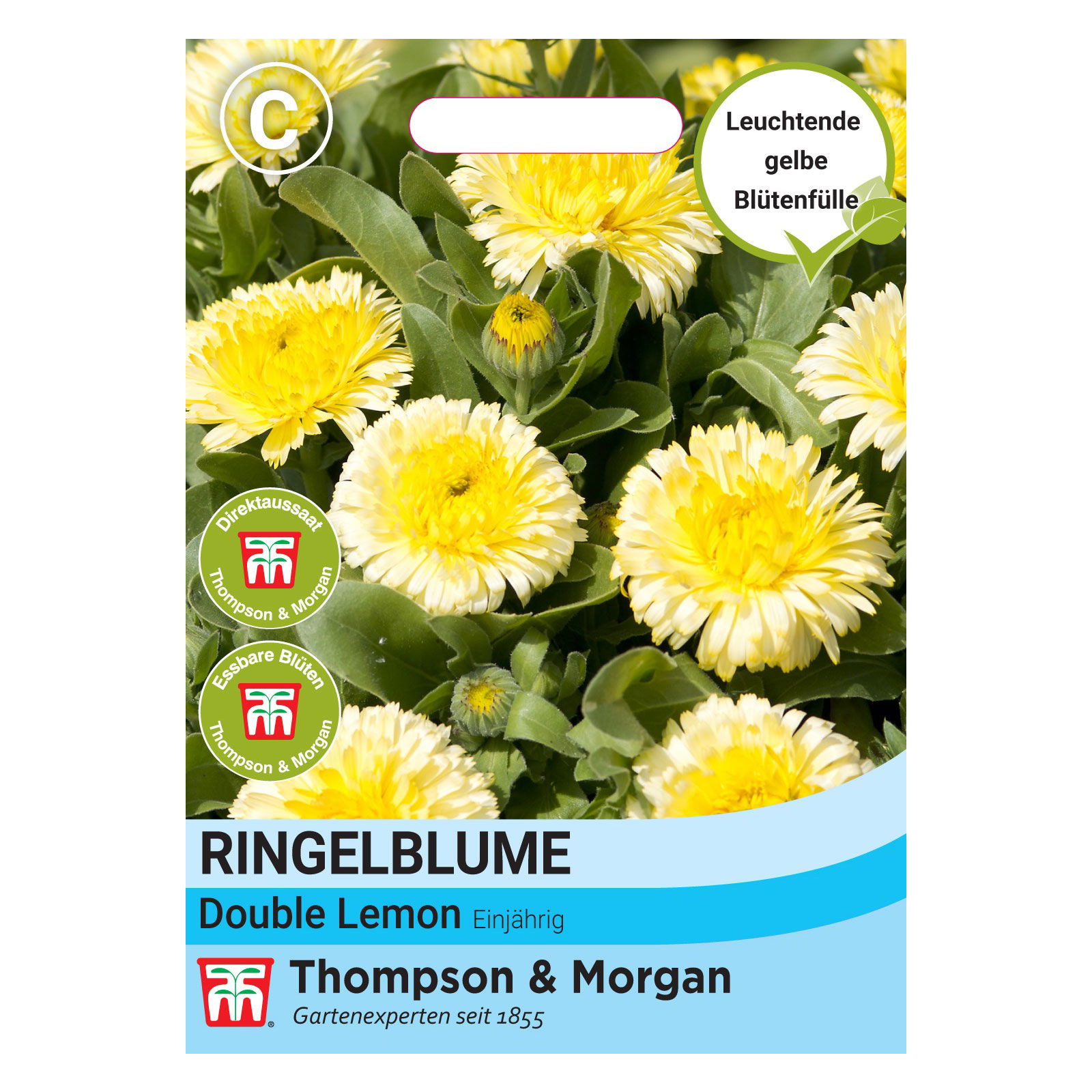 Thompson & Morgen Ringelblume 