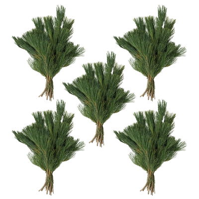 Seidenkiefer im Handbund, ca. 30-40cm lang, 5 Bund