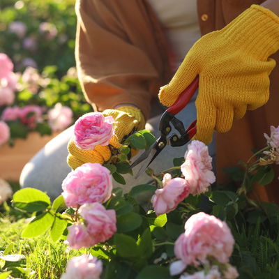 Online-Kurs Online-Kurs