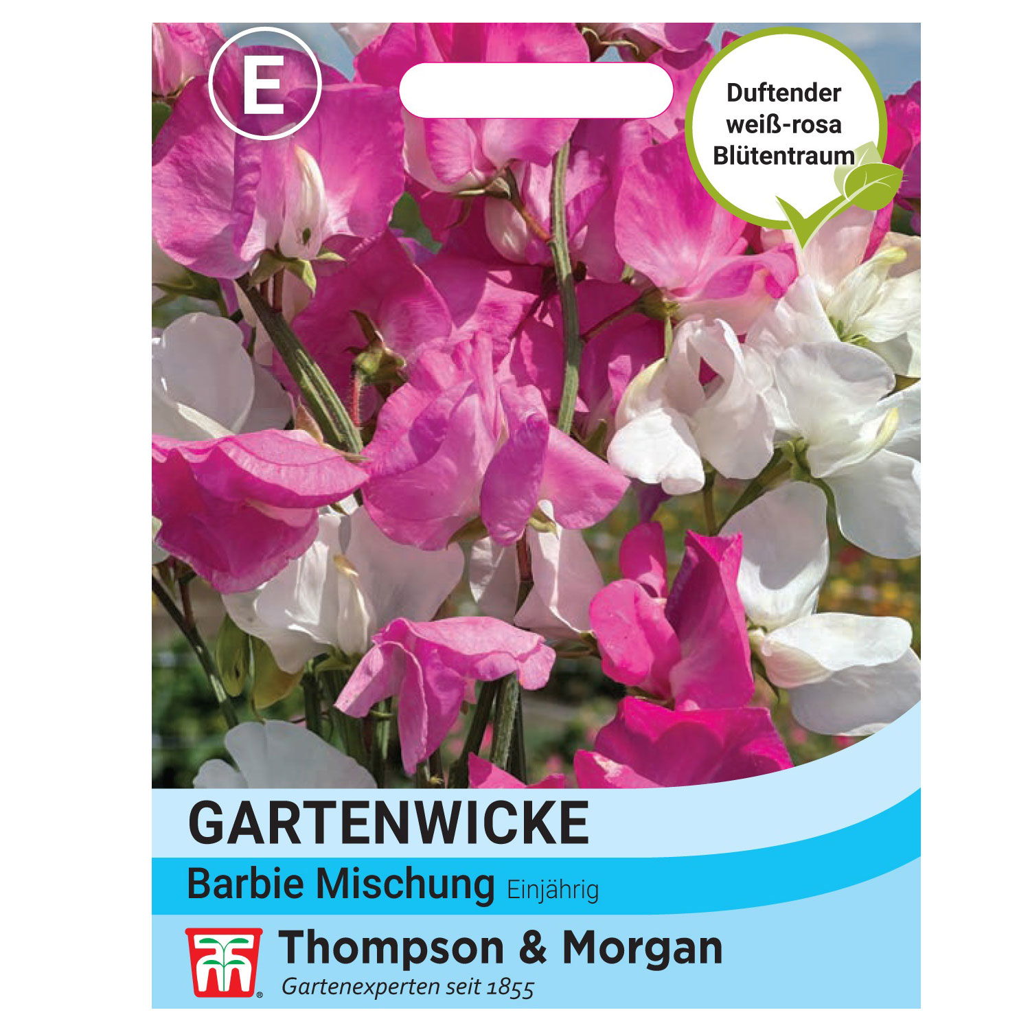 Thompson & Morgen Gartenwicke 