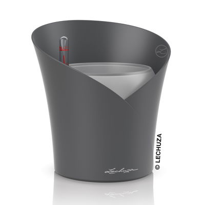 Lechuza 'Orchidea', schiefergrau, ca. Ø 18 x H 20 cm