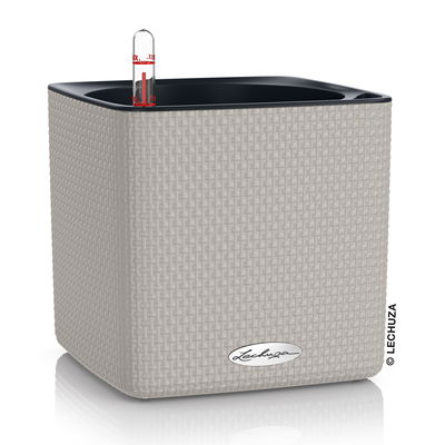 Lechuza 'Cube Color 16', sandbraun, ca. 17 x 17 x H 16 cm Lechuza 'Cube Color 16', sandbraun, ca. 17 x 17 x H 16 cm