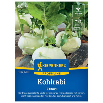 Kiepenkerl Saatgut Kohlrabi 'Bogart®', weiß Kiepenkerl Saatgut Kohlrabi 'Bogart®', weiß