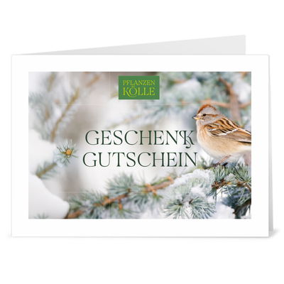 Gutschein zum Ausdrucken 'Winter' Gutschein zum Ausdrucken 'Winter'
