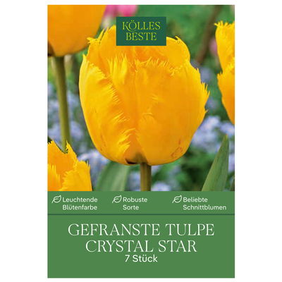 Tulpen 'Crystal Star', Gelb, 7 Blumenzwiebeln, Größe 11/12