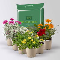 Pflanzenkreation 'Sonnenkünstler', 6 Pflanzen inkl. Erde