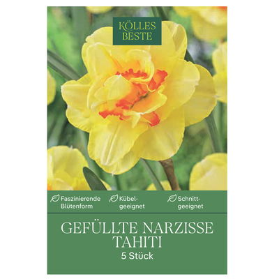 XXL Gefüllte Narzissen Tahiti gelb/orange, 5 Blumenzwiebeln XXL Gefüllte Narzissen Tahiti gelb/orange, 5 Blumenzwiebeln