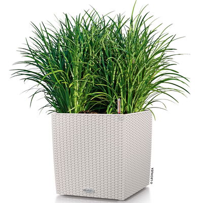 Lechuza 'Cube Cottage 30', lichtgrau, ca. 29,5 x 29,5 x H 30 cm Lechuza 'Cube Cottage 30', lichtgrau, ca. 29,5 x 29,5 x H 30 cm