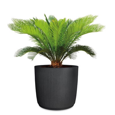 Scheurich Pflanzgefäß 'Linetto', schwarz, ca. Ø 39 x H 35 cm Scheurich Pflanzgefäß 'Linetto', schwarz, ca. Ø 39 x H 35 cm