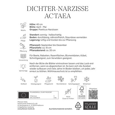 Dichter-Narzissen Actea weiß mit gelbem Auge, 5 Blumenzwiebeln Dichter-Narzissen Actea weiß mit gelbem Auge, 5 Blumenzwiebeln