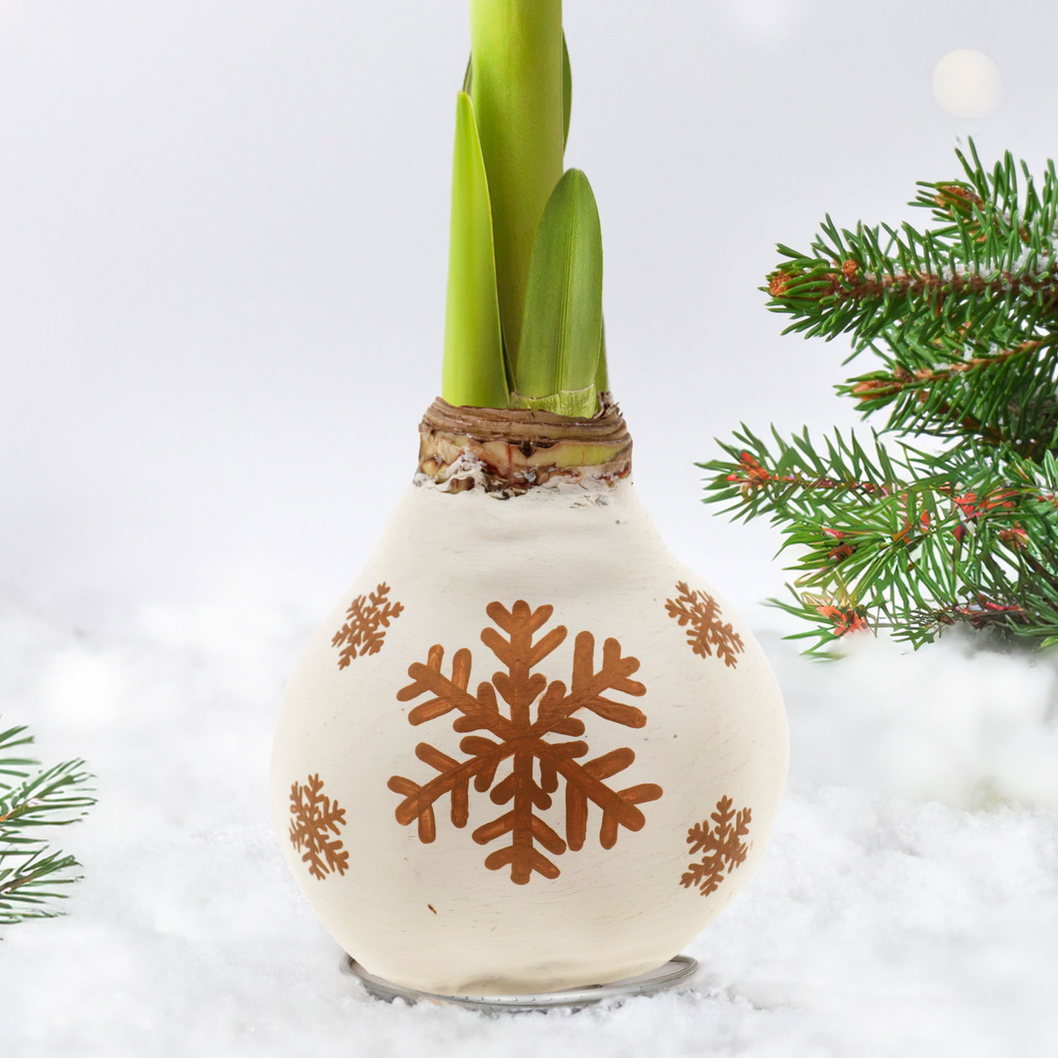 Amaryllis in Wachs, Dekor 'Snow Flakes', handbemalt, Blüte rot