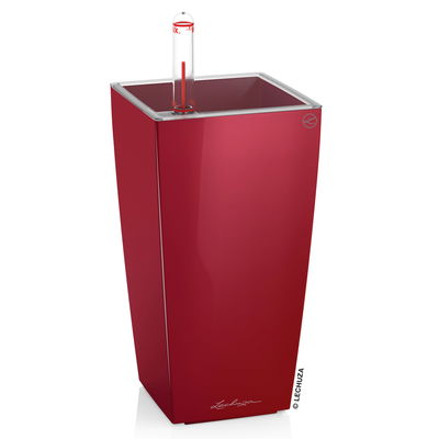 Lechuza 'Mini-Cubi', scarlet-rot, ca. 9,5 x 9,5 x H 18,5 cm