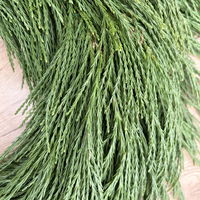 Adventskranz, Mammutbaum-Kranz, halbrund gebunden, ca. 35 cm Ø
