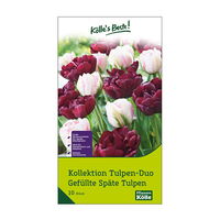 Gefüllte Tulpenmischung 'Duo' aus Finola & Antraciet, 10 Blumenzwiebeln