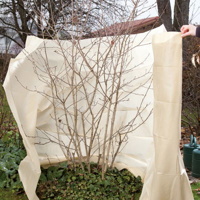 Kölles Beste Schutzvlies, beige, L5 x B1,5 m Kölles Beste Schutzvlies, beige, L5 x B1,5 m