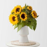 10 Sonnenblumen
