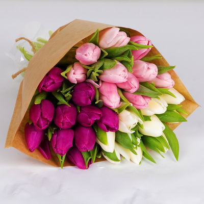 30 Tulpen, weiß, lila & hellrosa 30 Tulpen, weiß, lila & hellrosa