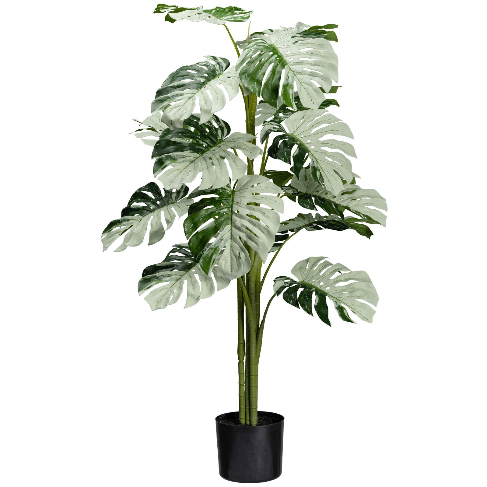 Künstliche Monstera variegata 'Halfmoon', Höhe ca. 115 cm