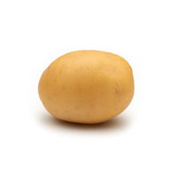 Pflanzkartoffel 