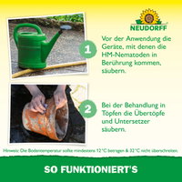 Neudorff Bestell-Set Nützlinge gegen Dickmaulrüssler, 10 Mio Stück Neudorff Bestell-Set Nützlinge gegen Dickmaulrüssler, 10 Mio Stück