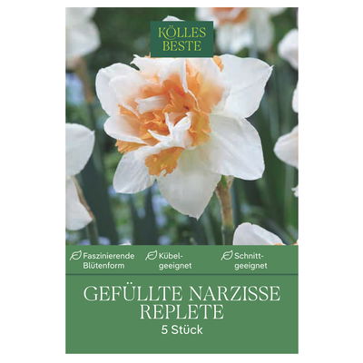 Gefüllte Narzissen Replete weiß mit rosa Mitte, 5 Blumenzwiebeln Gefüllte Narzissen Replete weiß mit rosa Mitte, 5 Blumenzwiebeln