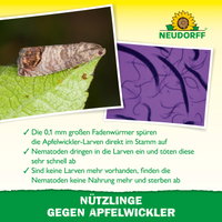 Neudorff Bestell-Set Nützlinge gegen Apfelwickler, 5 Mio Stück Neudorff Bestell-Set Nützlinge gegen Apfelwickler, 5 Mio Stück