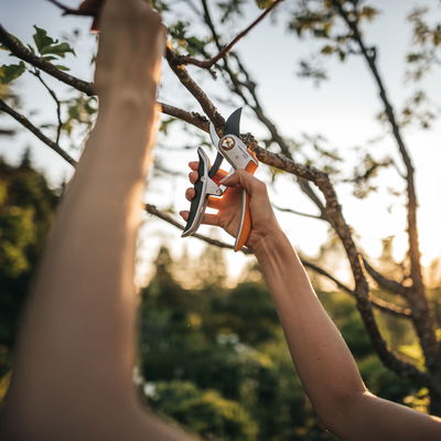 Schere 'Plus PowerLever', schwarz/orange