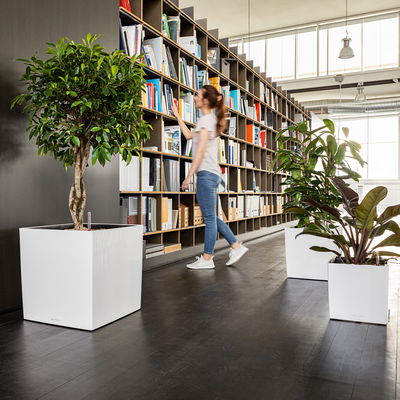 Lechuza 'Cube Premium 50', weiß, ca. 49 x 49 x H 49,5 cm