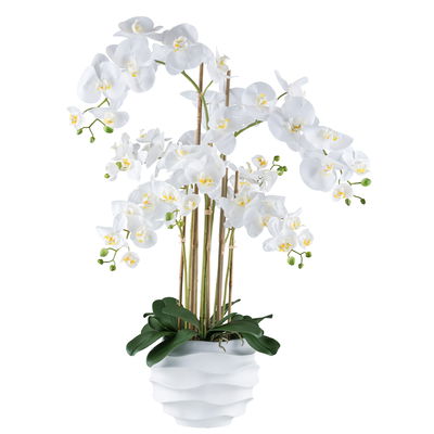 Kunstpflanze Phalaenopsis, weiß, Höhe ca. 90 cm Kunstpflanze Phalaenopsis, weiß, Höhe ca. 90 cm