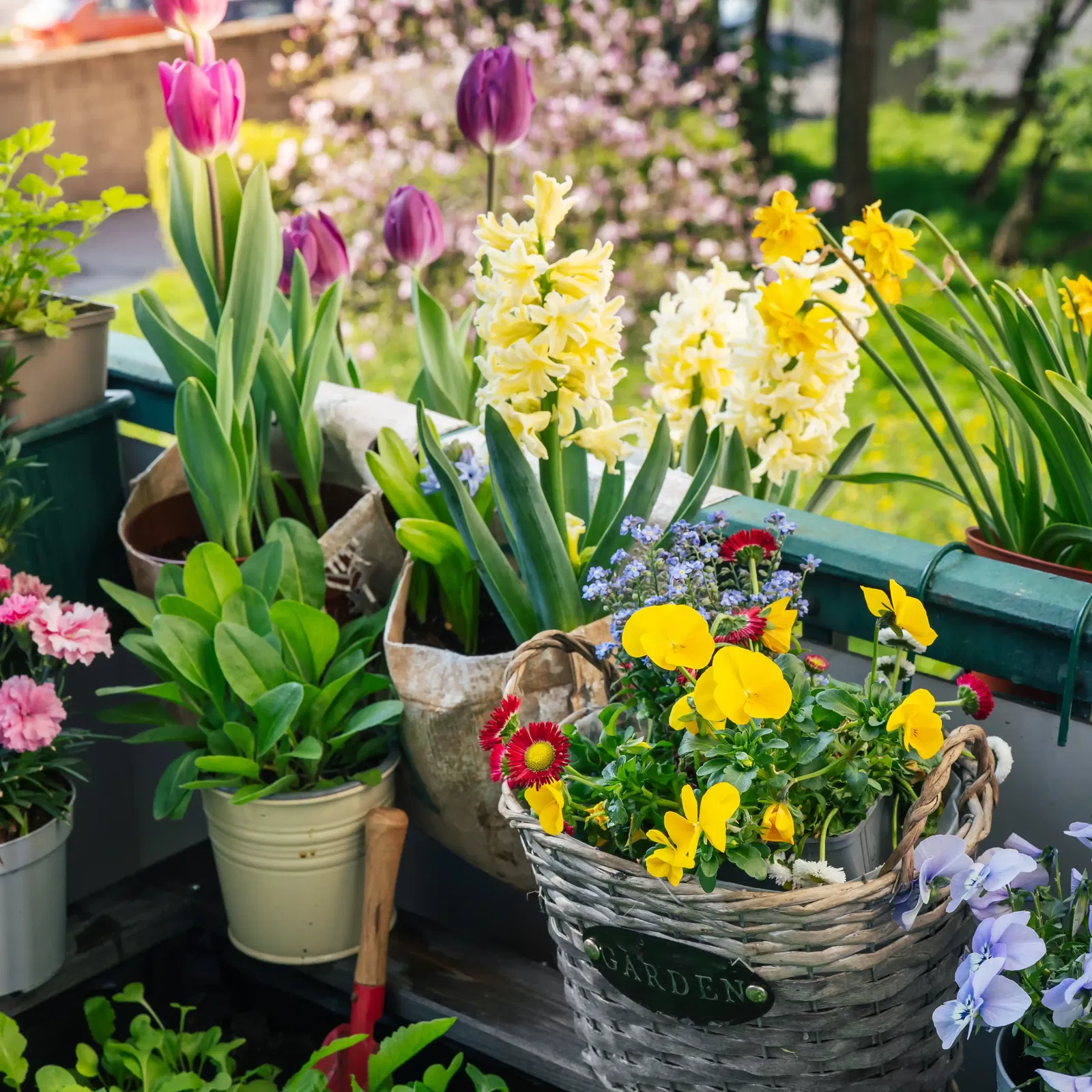 Balkon im Frühling Balkon im Frühling