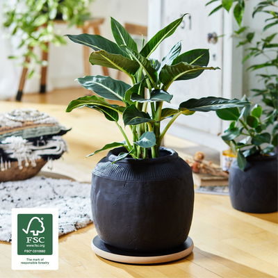 Wagner Multi-Roller 'GH0275', schwarz, ca. Ø 29,5 cm Wagner Multi-Roller 'GH0275', schwarz, ca. Ø 29,5 cm