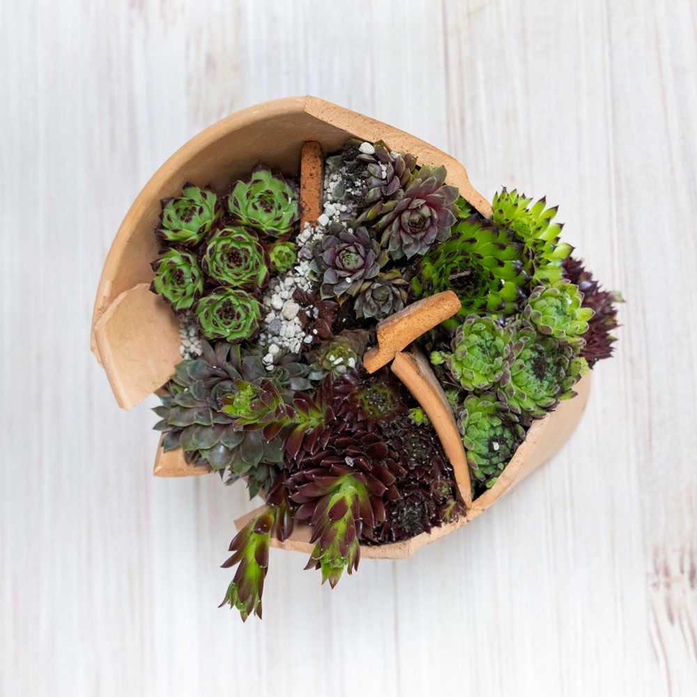 Gartenschule Kreativ 